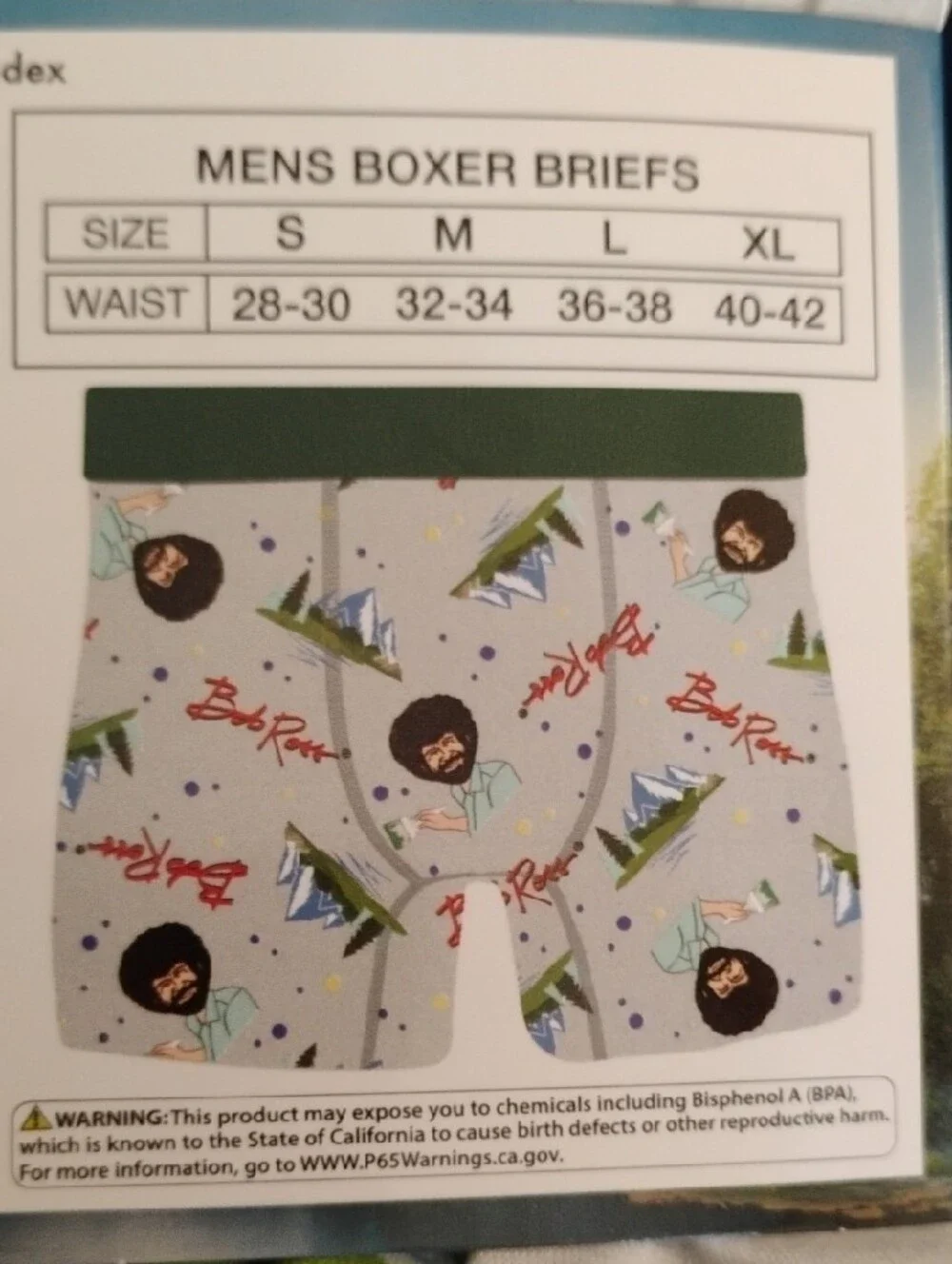 Bob Ross Men’s Boxer Briefs (Large)